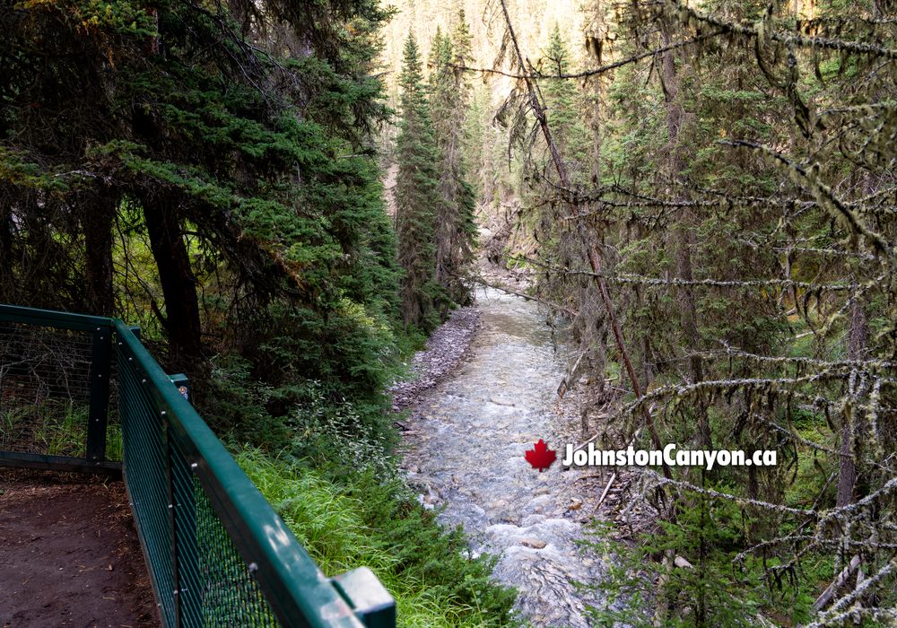 Hiking Bridges Overlooking Johnston Canyon