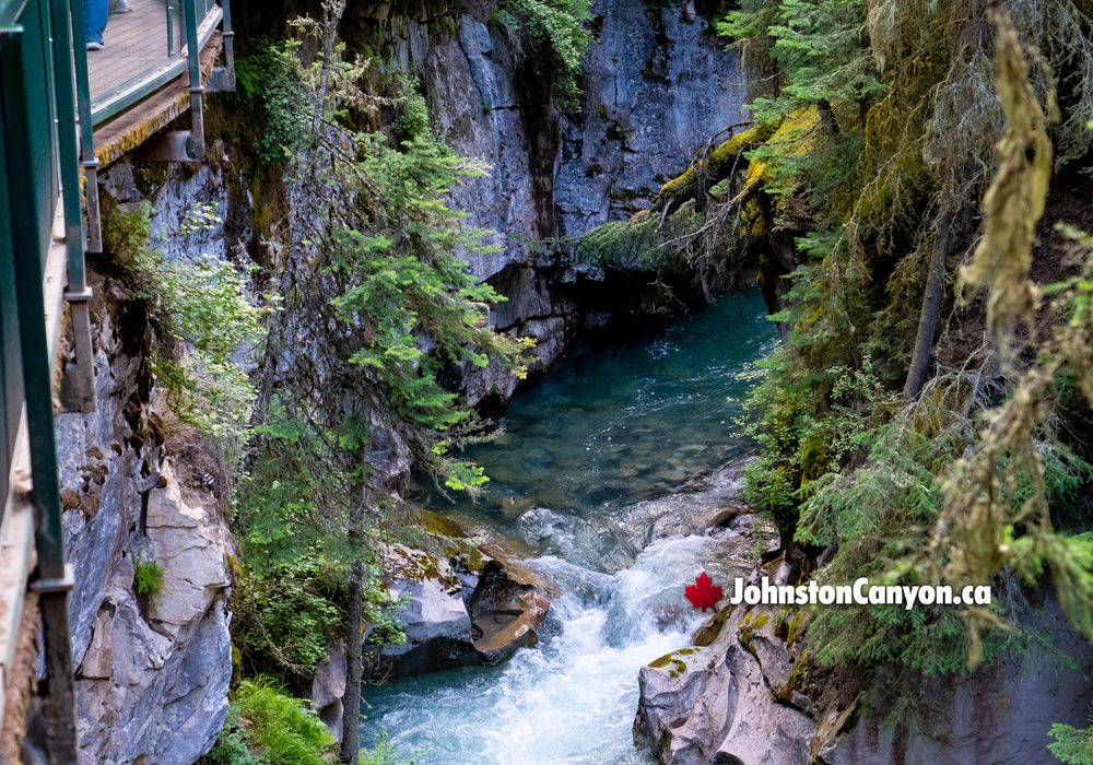 High Walkway Overlooks Johnston Canyon