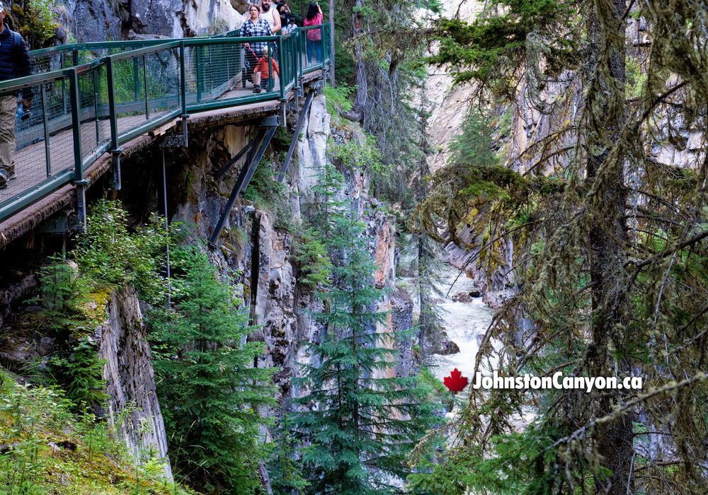 Overlooking Johnston Canyon