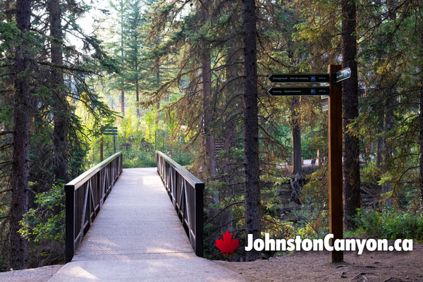 Hike Johnston Canyon