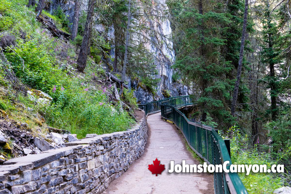 The Johnston Canyon Hike