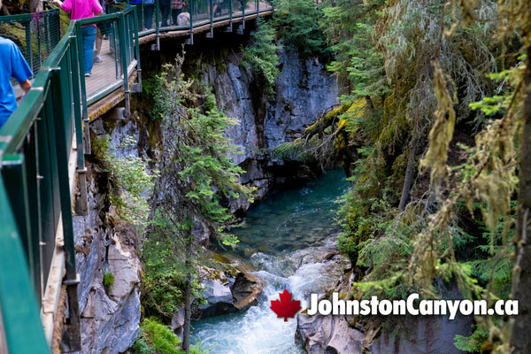 The Johnston Canyon Hike