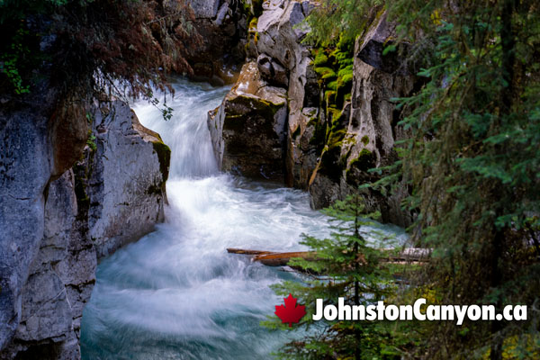 Johnston Canyon Hiking Trail Highlights