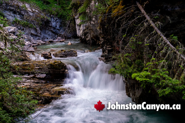 Johnston Canyon Hiking Trail Highlights