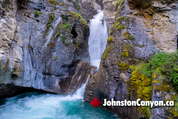 Johnston Canyon Hiking Trail Details