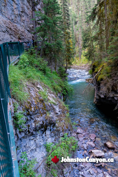 Features of Johnston Canyon