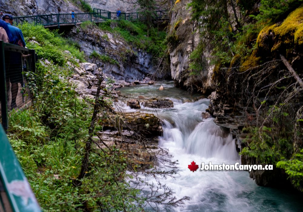 Breathtaking Lower Falls on the Johnston Canyon Hike