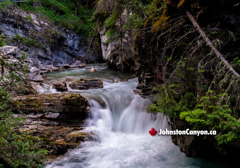 The Beautiful Lower Falls Hike in Johnston Canyon