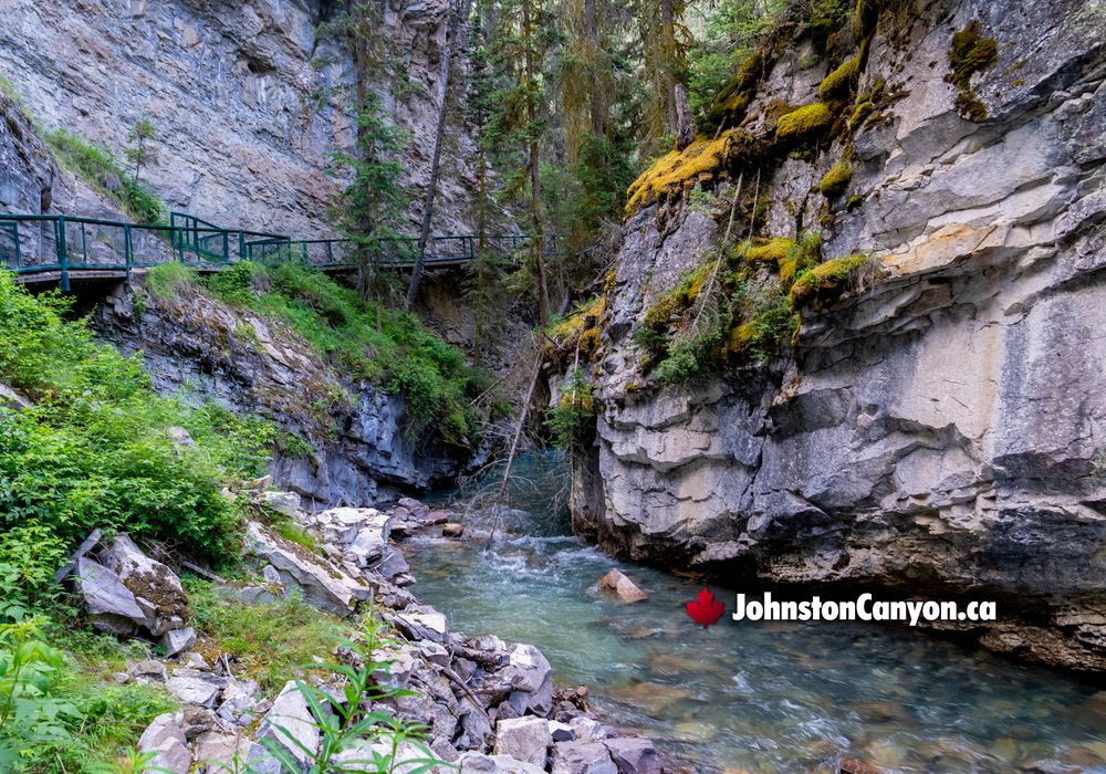 Beautiful Lower River Walkway Hike at Johnston Canyon