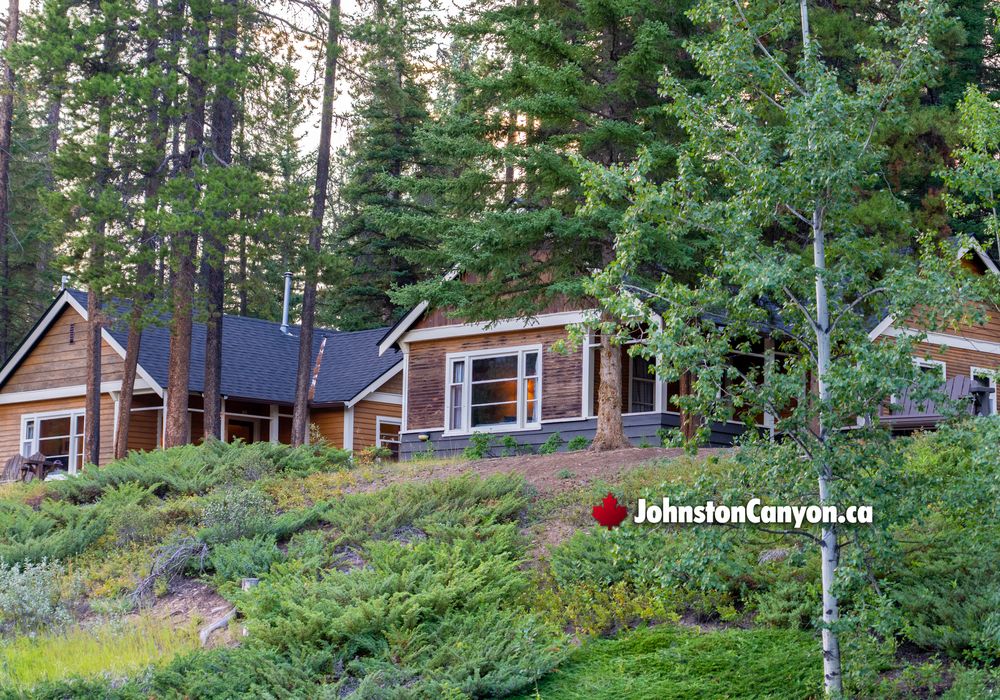 Booking Johnston Canyon Bungalows