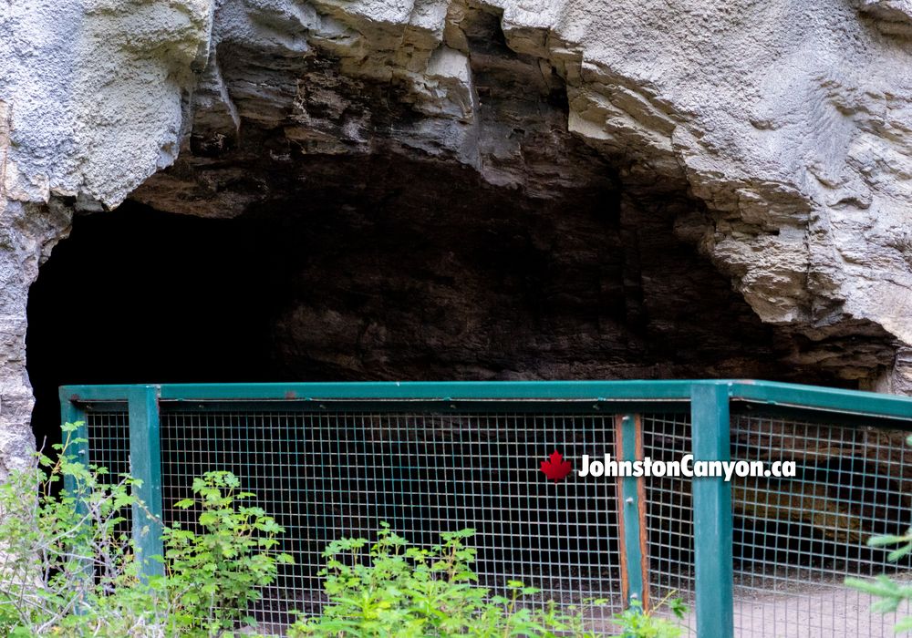 Cave at Johnston Canyon