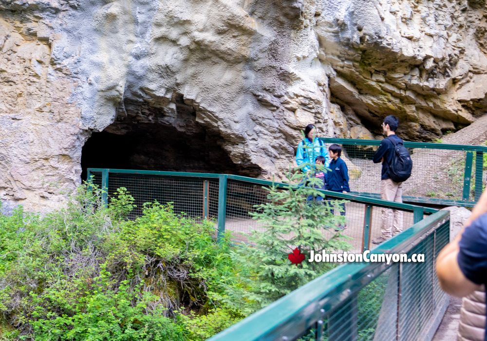 Cave Openings in Johnston Canyon Walls