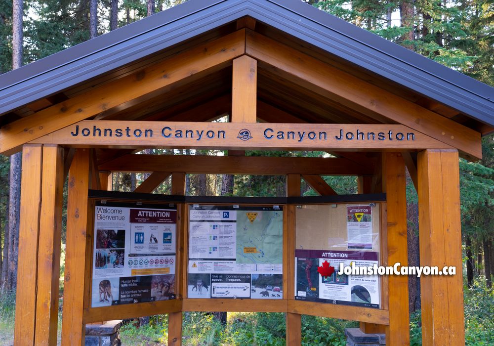 Best Times to Visit Johnston Canyon