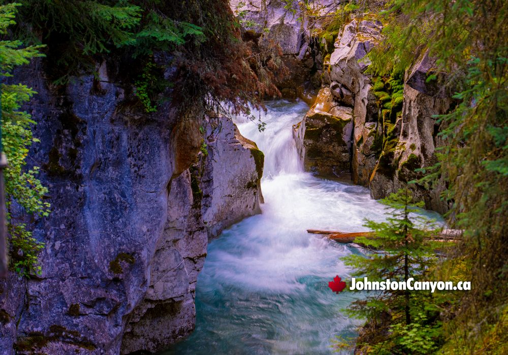 Johnston Canyon Nearby Attractions