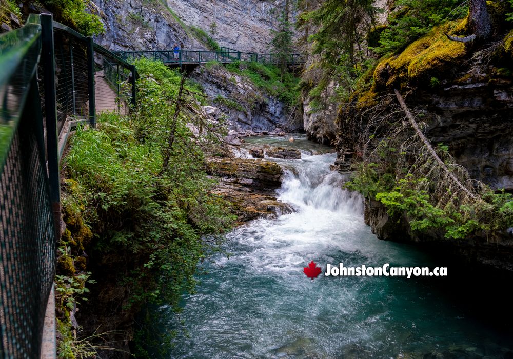 Inside Johnston Canyon