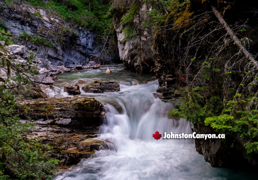 What Feeds Johnston Canyon