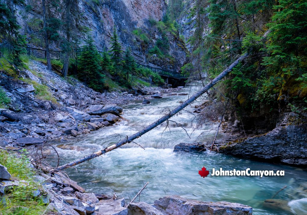 Johnston Canyon Water Flow