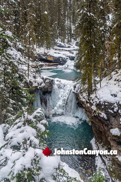 Johnston Canyon Winter Ice Walk Pathway