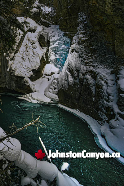 Winter Ice Walk at Johnston Canyon